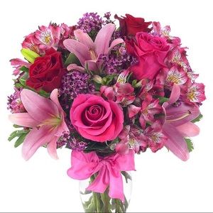 Meet your Posher, Rosy